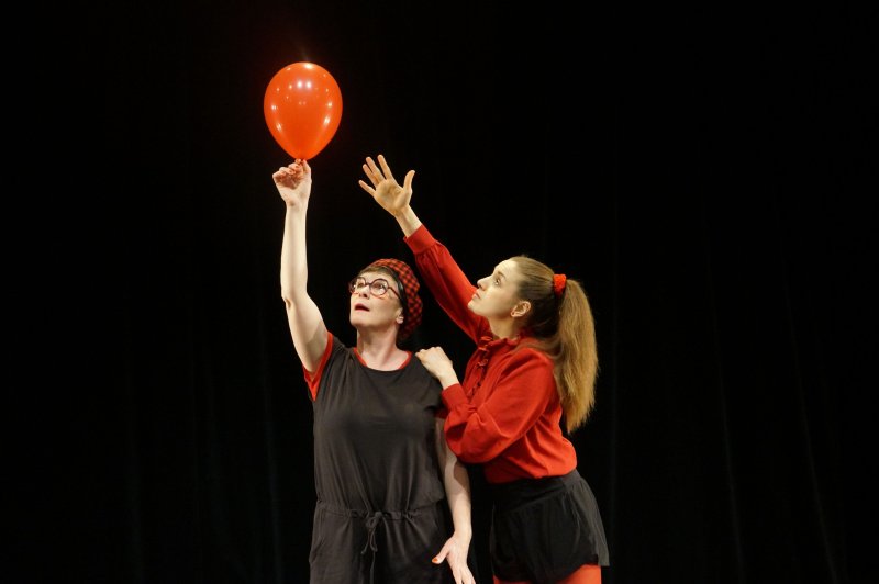 Pas touche la mouche ! (spectacle jeunesse)