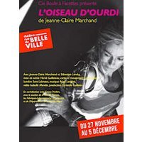 L'oiseau d'ourdi