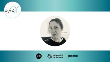 Séminaire externe - Camille Boutin, Institut de Biologie du Développement de Marseille