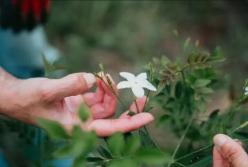 Visite immersive au cœur des savoir-faire du Pays de Grasse