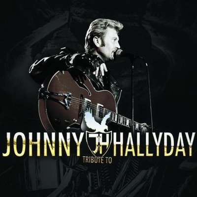Tribute Johnny Hallyday : Johnny Success