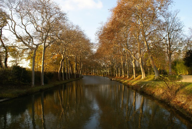 Conférence "Des paysages en héritage. Récits d'arbres en Méditerranée" par Véronique Mure