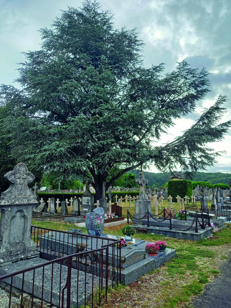 Promenade commentée