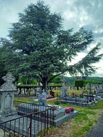 Promenade commentée