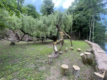 Visite du parc Joly