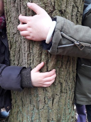 La brigade des bois : protège ta forêt!