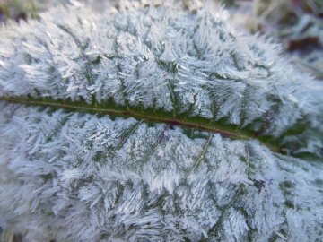 Contes aux temps de Noël et de l’hiver