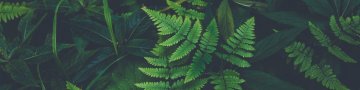 Ateliers IA - comprendre, expérimenter, intégrer l'IA dans vos activités