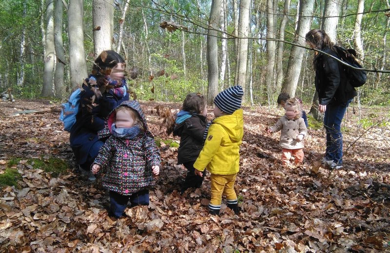 La forêt des tout-petits