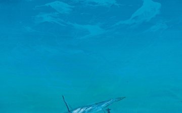 Les Eaux du Monde