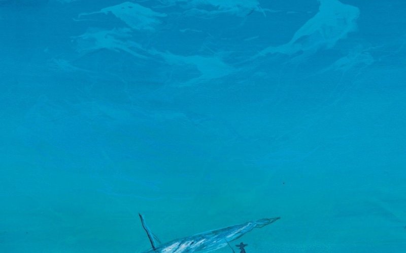 Les Eaux du Monde