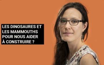 La paléo-bioinspiration : quand les fossiles inspirent le futur