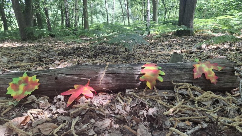 Guirlande de feuilles d’automne et d’encre