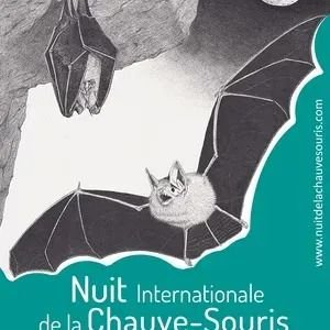 Diaporama et balade crépusculaire animée