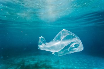 Conférence : “La vie de ma mer (sans plastique)”