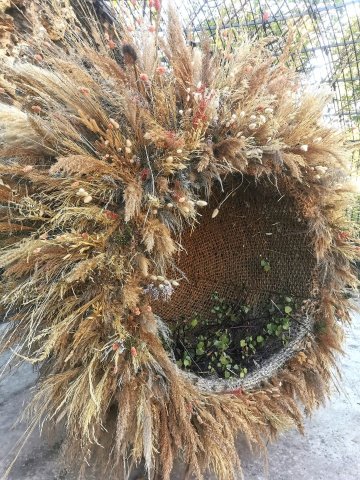 Nid en Herbes – Une œuvre végétale participative