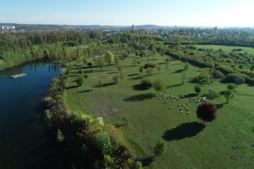 Découverte du parcours numérique du parc : Les secrets de la Haute-Ile