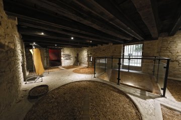 Visite des tanneries