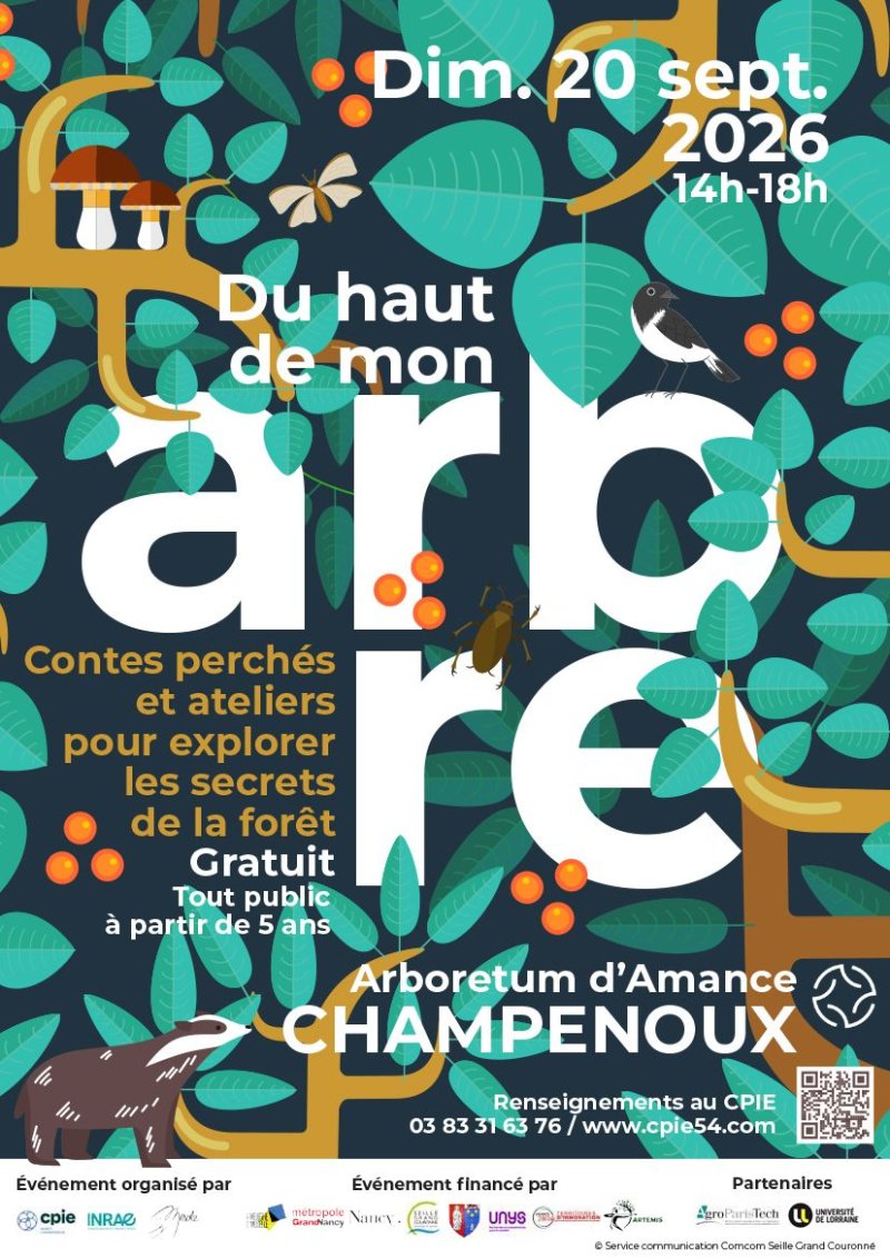 Du haut de mon arbre