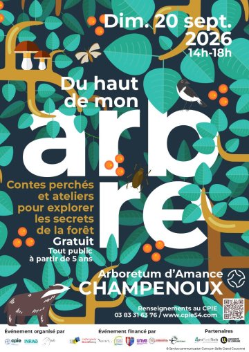 Du haut de mon arbre