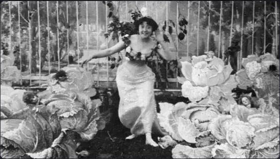 Projection-débat : Pionnières ! Histoires de femmes du cinéma