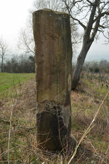 Visite libre des deux menhirs de Saint-Clément-sur-Guye