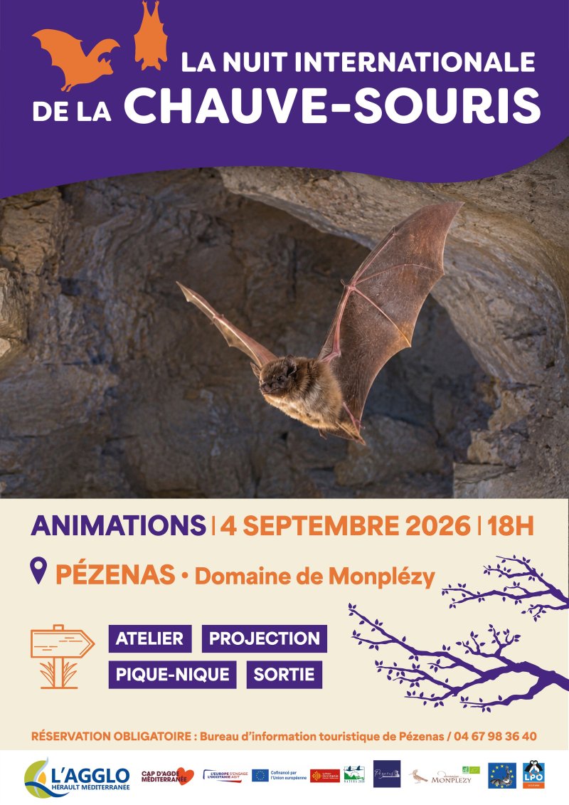 30ème Nuit internationale de la chauve-souris : venez découvrir ce précieux auxiliaire de la nature à Pézenas