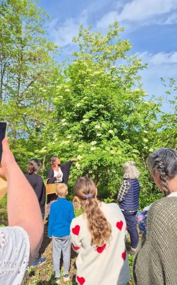 Reconnaissance et cueillette de plantes comestibles