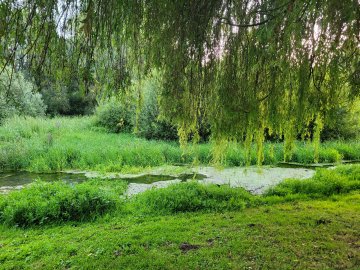 BALADE ET DÉCOUVERTE DE LA MADELAINE