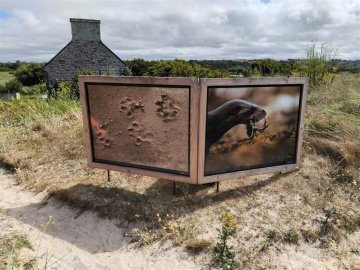 Visite guidée : la loutre, la digue, le polder
