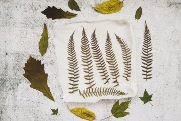 Café créatif : découverte du tataki zome