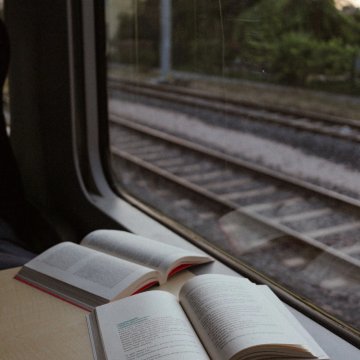 Les écritures du voyage