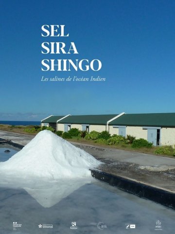 Visite guidée de l'exposition "Sel, Sira, Shingo, les salines des îles de l'océan Indien"