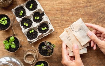 Troc de graines et de boutures 2026
