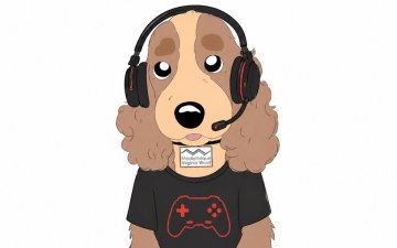 Après-midi jeux vidéo (8 ans et +)