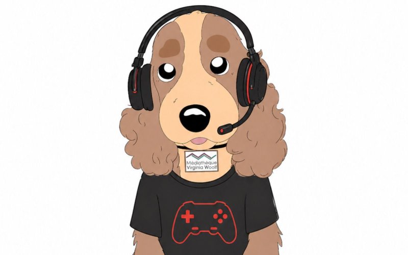 Après-midi jeux vidéo (8 ans et +)