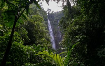 Rencontre : Les sons de la nature