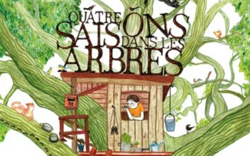 Quatre saisons dans les arbres