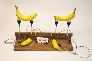 Veggie Orchestra