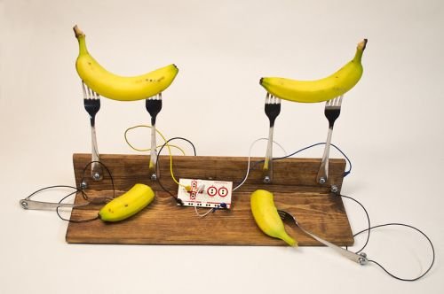 Veggie Orchestra