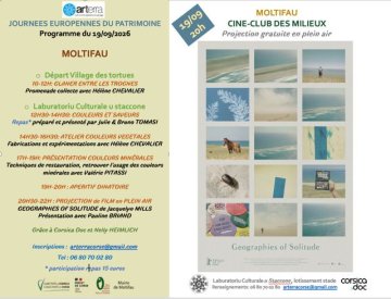 Couleurs et saveurs