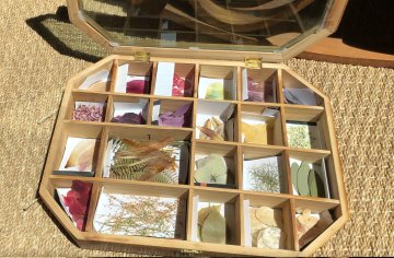 Atelier créatif : Kaléidoscope fleuri