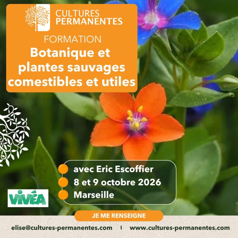 Formation « Bases de botanique pour la permaculture, et plantes sauvages comestibles » (2 jours) par Éric Escoffier – Marseille