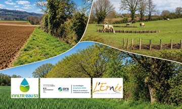 Protéger l’eau et ses sols, à l’aide des infrastructures agroécologiques (53)