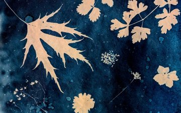 Atelier de cyanotype samedi 26 septembre 14 h 30, Paris 20