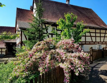 Visite et animations à la Maison Rurale de l'Outre-Forêt