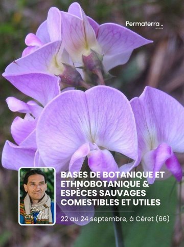 Formation « Bases de botanique pour la permaculture, et plantes sauvages comestibles » (3 jours) par Éric Escoffier – 66400 Céret