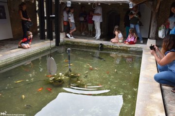 Visite du lavoir Sainte-Geneviève