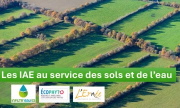 Protéger l’eau et ses sols, à l’aide des infrastructures agroécologiques (53)