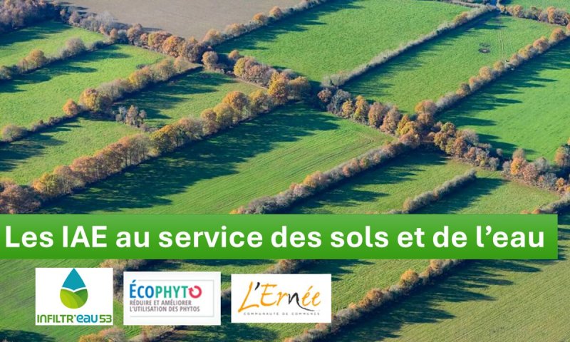 Protéger l’eau et ses sols, à l’aide des infrastructures agroécologiques (53)